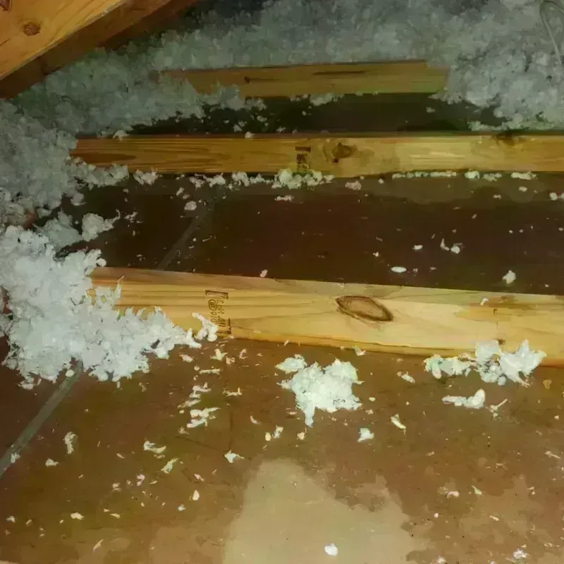 Attic Water Damage in Abram, TX