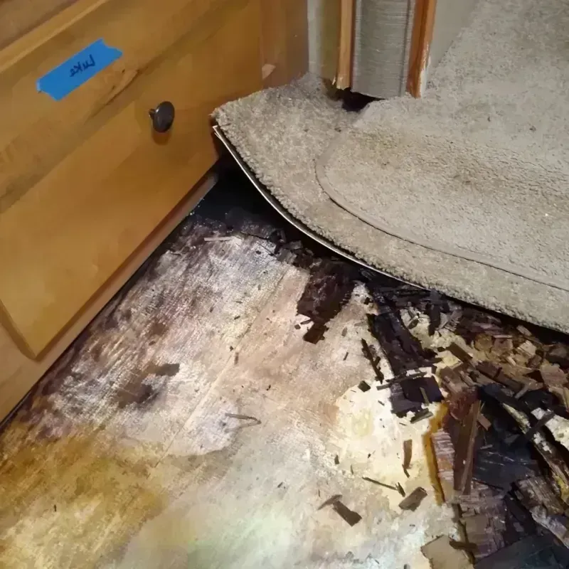 Wood Floor Water Damage in Abram, TX